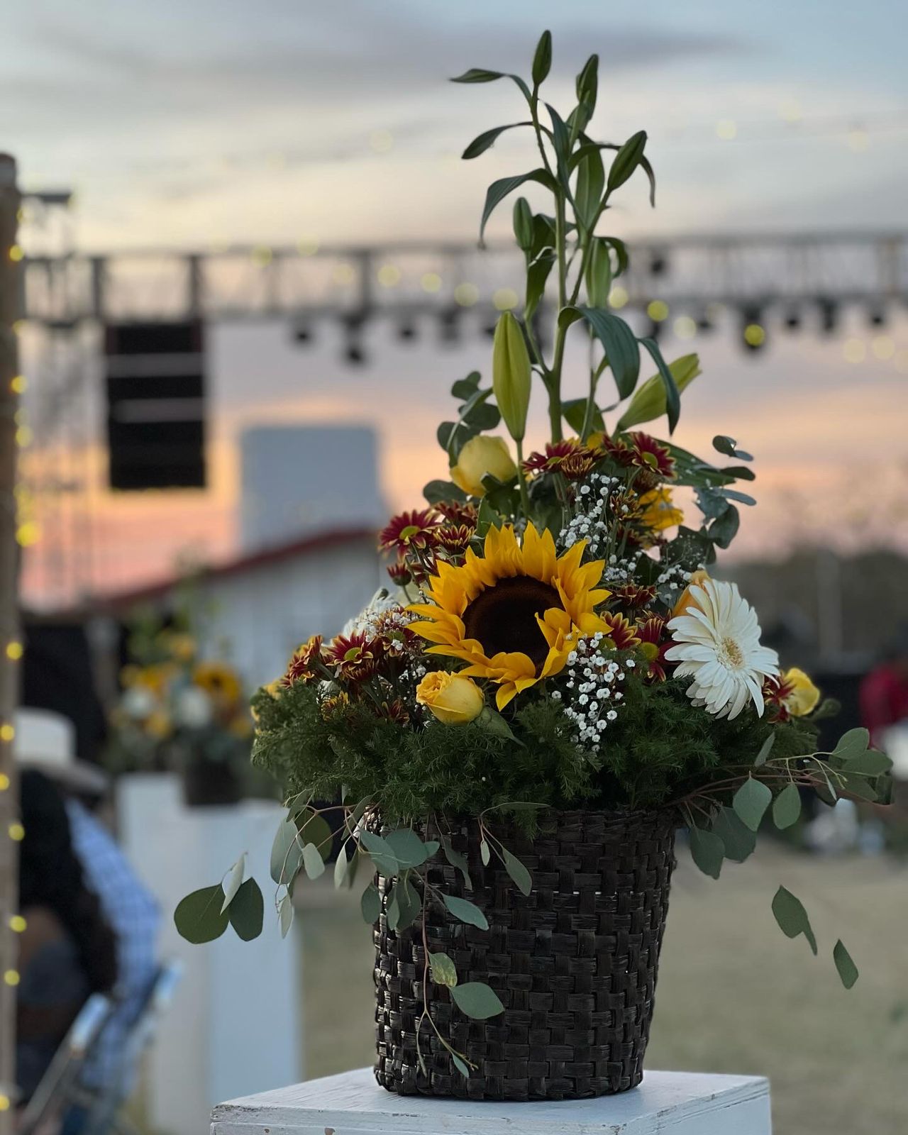 Vana eventos